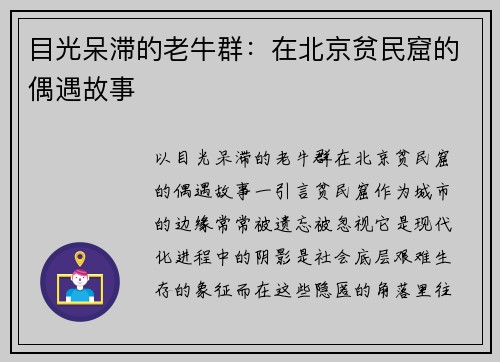 目光呆滞的老牛群：在北京贫民窟的偶遇故事