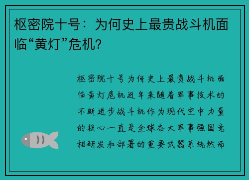 枢密院十号：为何史上最贵战斗机面临“黄灯”危机？